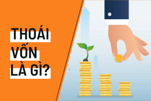 thoái vốn là gì​