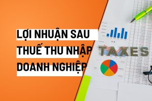 lợi nhuận sau thuế