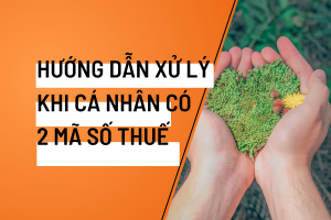 Cá nhân có 2 mã số thuế
